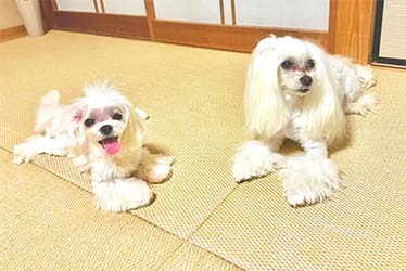 長持ちにこだわり