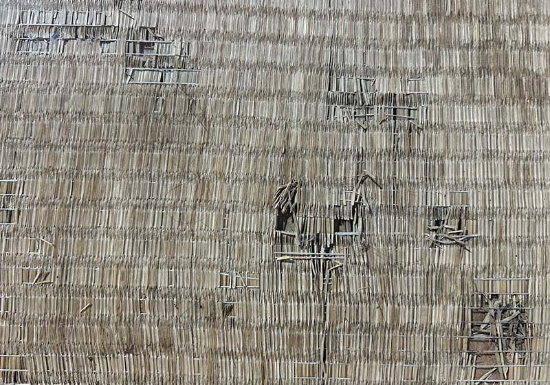 7年後の畳の破れ